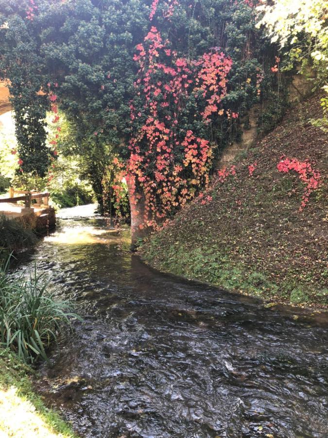 Le Moulin De La Beune Les Eyzies Buitenkant foto